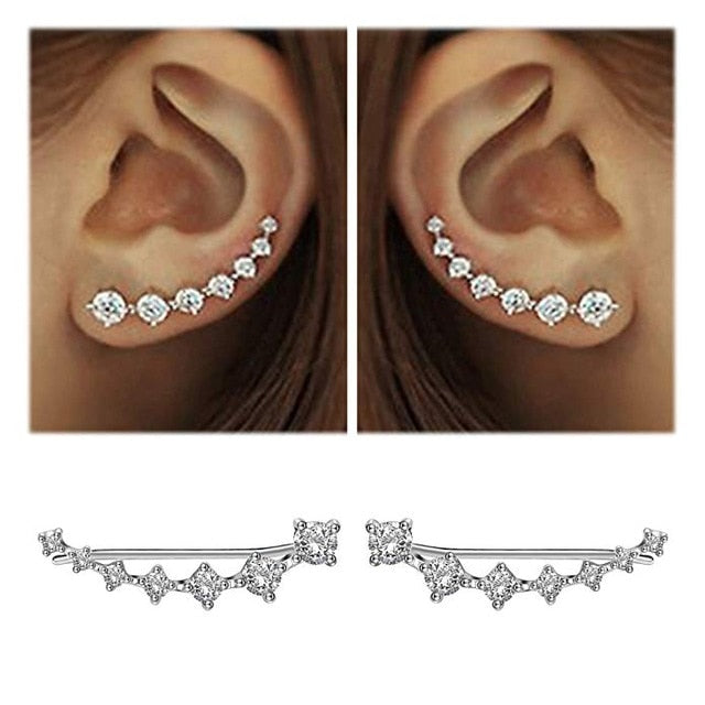 REETI New High Quality Super Shiny Zircon 925 Sterling Silver  Earring for Women Jewelry Wholesale Gift Ear row